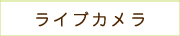 ライブカメラ