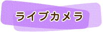 ライブカメラ