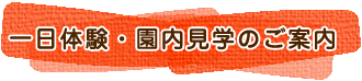 園見学・園庭遊び